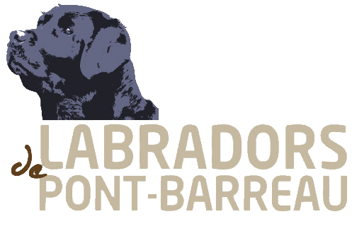 Labradors de Pont-Barreau